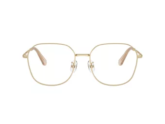 Swarovski SK 1009D 4013 58 Women glasses