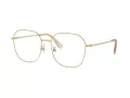 Swarovski SK 1009D 4013 58 Women glasses