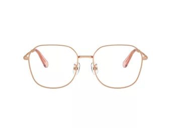 Swarovski SK 1009D 4014 58 Women glasses