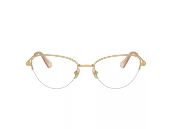 Swarovski SK 1010 4004 53 Women glasses