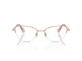 Swarovski SK 1010 4014 55 Women glasses