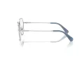 Swarovski SK 1011 4001 53 Women glasses