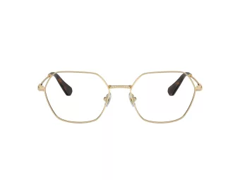 Swarovski SK 1011 4013 55 Women glasses