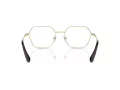 Swarovski SK 1011 4013 55 Women glasses