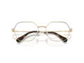 Swarovski SK 1011 4013 55 Women glasses