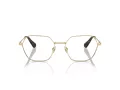 Swarovski SK 1011 4013 55 Women glasses