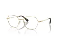 Swarovski SK 1011 4013 55 Women glasses