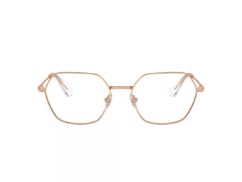 Swarovski SK 1011 4014 53 Women glasses
