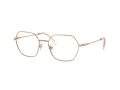 Swarovski SK 1011 4014 53 Women glasses