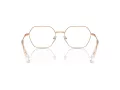Swarovski SK 1011 4014 55 Women glasses