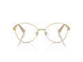 Swarovski SK 1013 4004 54 Women glasses