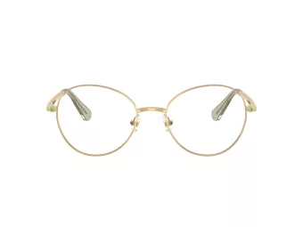 Swarovski SK 1013 4017 52 Women glasses
