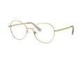 Swarovski SK 1013 4017 52 Women glasses