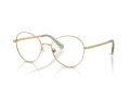 Swarovski SK 1013 4017 52 Women glasses
