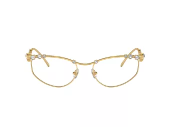 Swarovski SK 1015 4004 55 Women glasses
