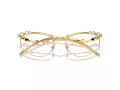 Swarovski SK 1015 4004 55 Women glasses