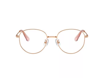 Swarovski SK 1016D 4014 54 Women glasses
