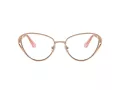 Swarovski SK 1017 4014 57 Women glasses