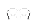 Swarovski SK 1018 4001 55 Women glasses