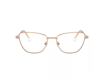 Swarovski SK 1018 4014 55 Women glasses
