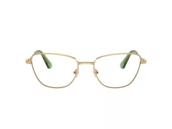Swarovski SK 1018 4017 53 Women glasses
