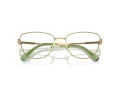 Swarovski SK 1018 4017 53 Women glasses