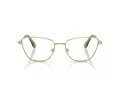 Swarovski SK 1018 4017 53 Women glasses