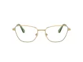 Swarovski SK 1018 4017 55 Women glasses