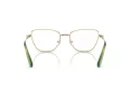 Swarovski SK 1018 4017 55 Women glasses