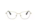Swarovski SK 1018 4028 55 Women glasses