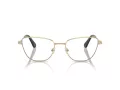 Swarovski SK 1018 4028 55 Women glasses