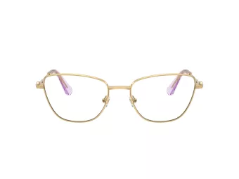 Swarovski SK 1018 4036 53 Women glasses
