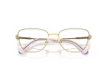 Swarovski SK 1018 4036 53 Women glasses