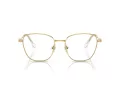 Swarovski SK 1019 4004 52 Women glasses