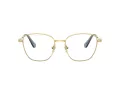 Swarovski SK 1019 4021 52 Women glasses