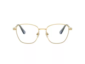 Swarovski SK 1019 4021 52 Women glasses