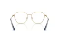 Swarovski SK 1019 4021 52 Women glasses