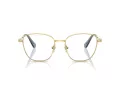 Swarovski SK 1019 4021 54 Women glasses