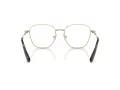 Swarovski SK 1019 4028 52 Women glasses