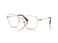 Swarovski SK 1019 4028 52 Women glasses