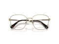 Swarovski SK 1019 4028 54 Women glasses