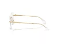 Swarovski SK 1021 4004 53 Women glasses