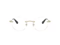 Swarovski SK 1021 4013 51 Women glasses