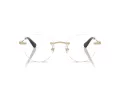 Swarovski SK 1021 4013 51 Women glasses