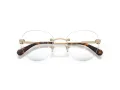 Swarovski SK 1021 4013 53 Women glasses