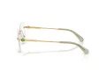 Swarovski SK 1021 4017 51 Women glasses