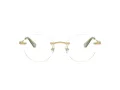 Swarovski SK 1021 4017 53 Women glasses