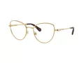 Swarovski SK 1022 4004 54 Women glasses