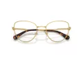 Swarovski SK 1022 4004 54 Women glasses