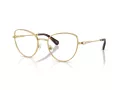 Swarovski SK 1022 4004 54 Women glasses